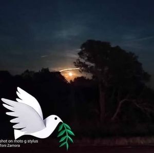 Meet your Posher, Lorraine